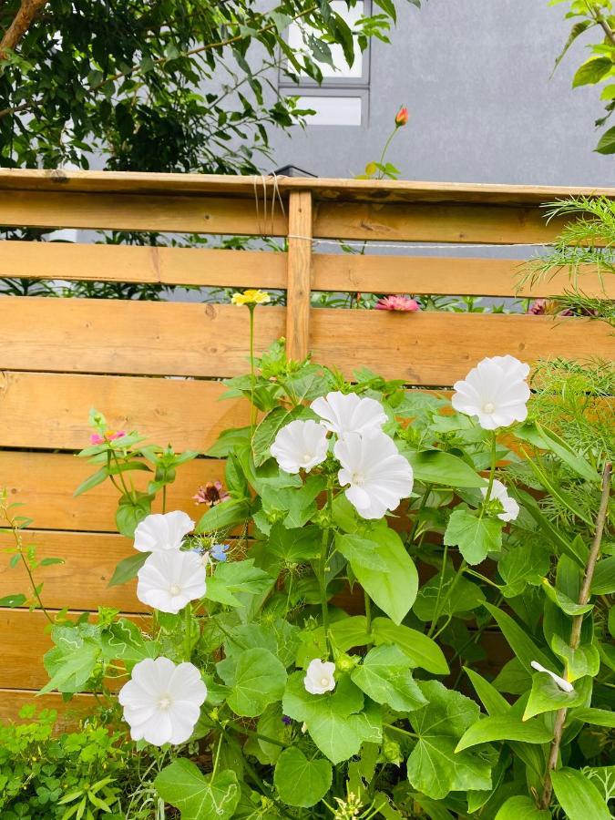 Lovely II Space Share A Room East York Canada 多伦多 外观 照片